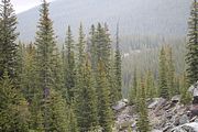 108 - Banff,Lake Louise,Morraine Lake  - IMG_0806